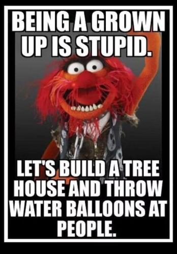 454352151_8624875270876041_1484650527086213509_n