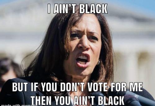 image_FD58946C-B550-493F-921F-E879A9A8DBAD