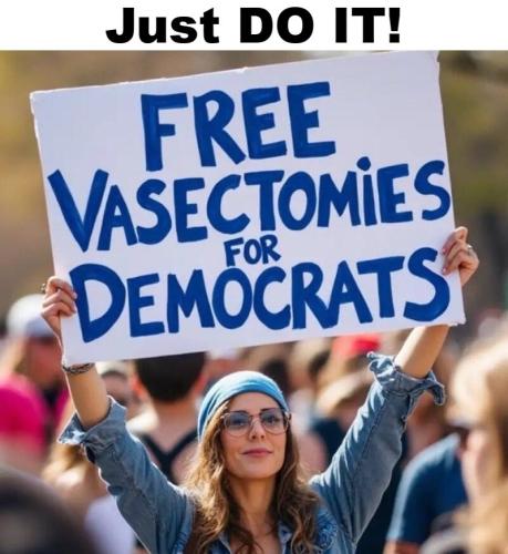 Free vasectomies for democrats just do it