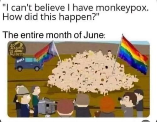 photo_2024-08-19_15-31-49