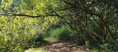 IMG_20240730_105617095