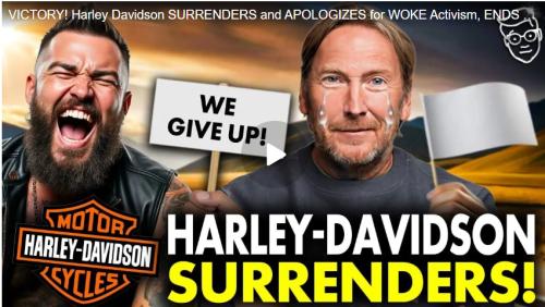 Woke Harley Davidson surrenders screenshot