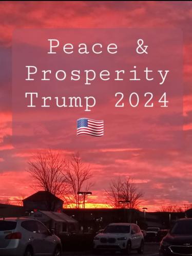 Screenshot_20240809_100618_Telegram