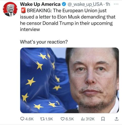 photo_2024-08-12_11-59-52 (2)