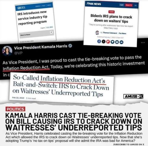 kamala tax tips irs agents