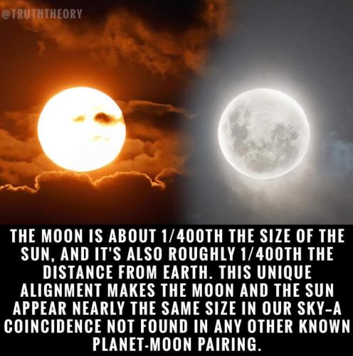 33d1fd1e-7e70-45a0-bbe6-c09b08db0802