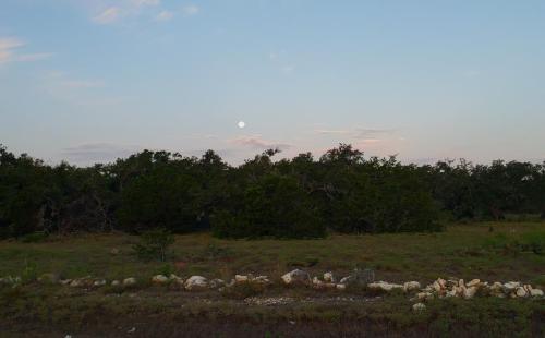 Spectacular moon