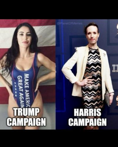 comparison