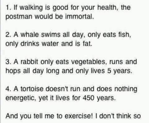 453900434_530602852827159_4356794488426270024_n