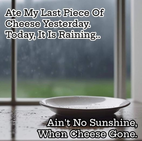 image_A29DF39B-266C-4628-96B7-D8F82D05225B