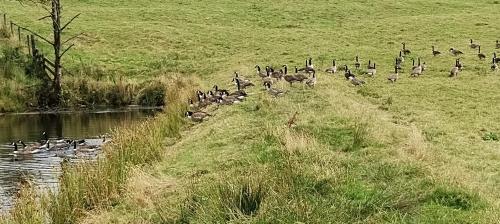 IMG_20240731_130524246