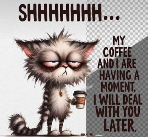 454238810_8254327327992873_7204046662608162898_n