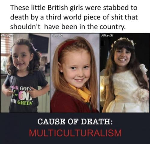 IMG_20240805_013254_980