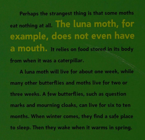 Screenshot_2024-08-08-23-36-23_kindlephoto-123186384