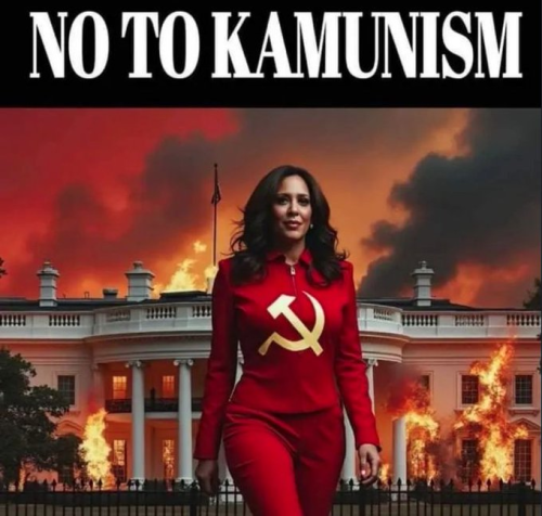 image_2024-08-24_072437834