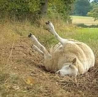 2786242c-b1a5-452e-beac-728a0364088e