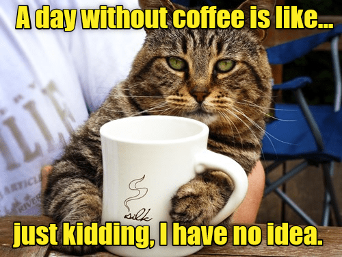i-must-have-my-coffee