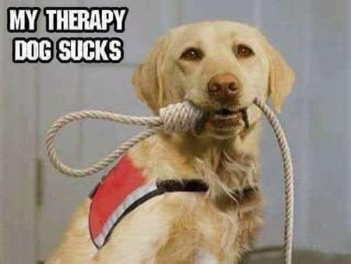 image_C8D42590-9A8B-48CC-A0E3-EEB6B8B43784