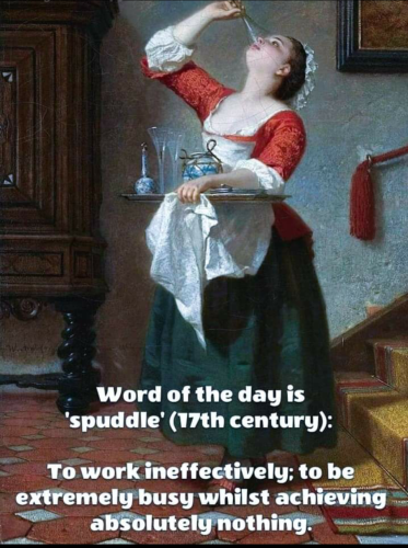 Screenshot_2024-08-19-17-14-18_kindlephoto-201191410