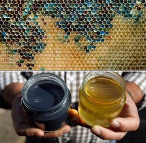 d64acc3b-9dd2-44b9-88ca-f962160e67a4