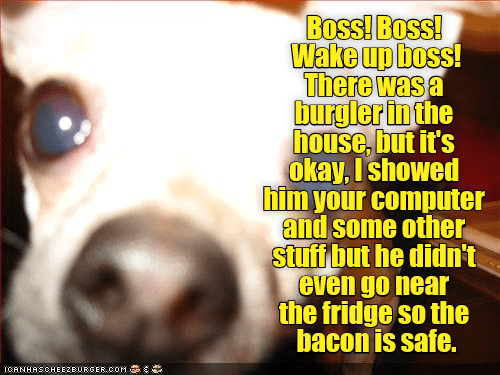 wake-up-boss