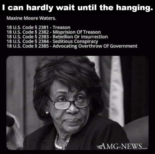 Maxine Waters sedition and treason counts.960px