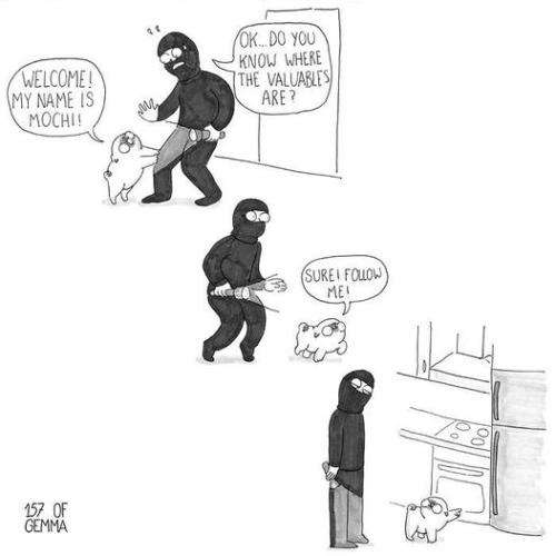 454804631_382697351511672_4548651870163771911_n