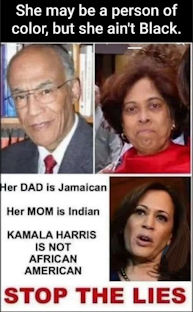 kamala harris454