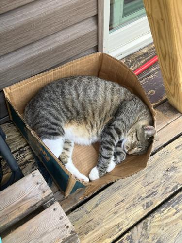 DEBF01D7-DCF4-44C4-94CF-C284B3EE3438