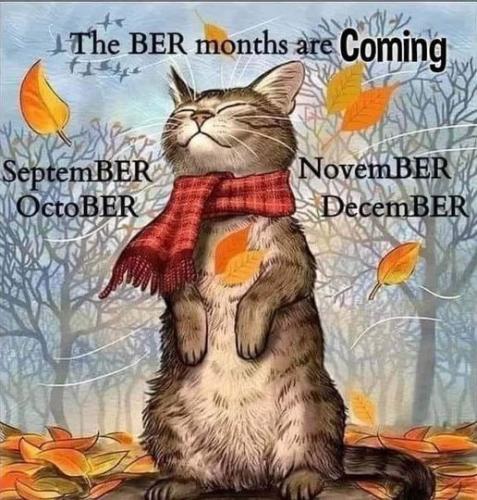 455263249_828604909401296_5819474879144845304_n