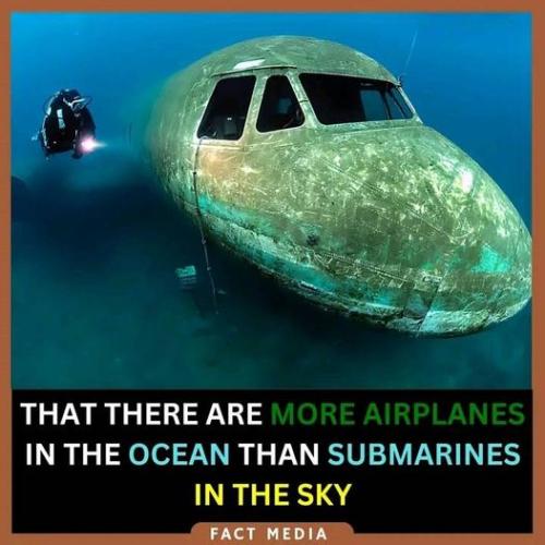 453741564_354227011070647_4034525153928013478_n