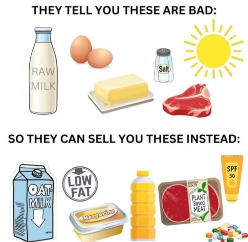 image_C97FEABE-1830-4BC7-99ED-2CFD92EF7584