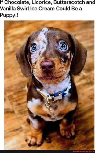 a1746aad81a87ae347a2899612e1a2a0f3366eb0c64a302743b5368ea7c45535_1