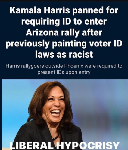 image_2024-08-13_063609586