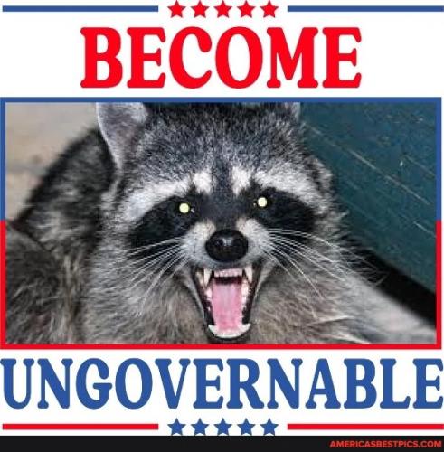 21f95727c295280e0fe1bd4681551abdc652772d7306286cf9233d18ecfc0eb2_1