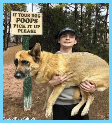 IMG_20240806_155612_711