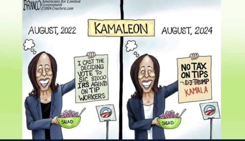 bf958457-125e-4eb6-b15c-40a998374c4b