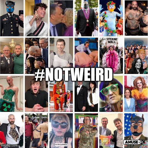 IMG_20240802_013148_972