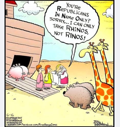 f86f7c4a-43e8-43f1-a4ba-7a553861e874_1114x1184