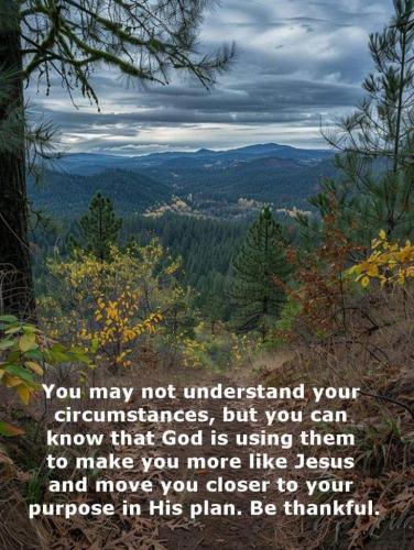 0859e580-256d-4e02-9dcd-d4a956127221