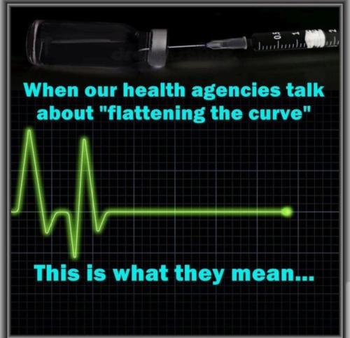 image_5E4CF5E3-AB69-4518-8D76-5F13A5E526B1