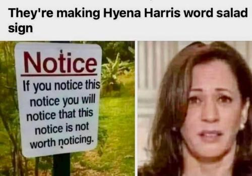 454272402_8396502767047622_1667852128940165060_n