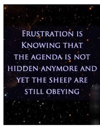 Screenshot_20240819_073901_Facebook