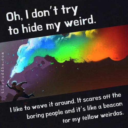 IMG_20240801_034029_957