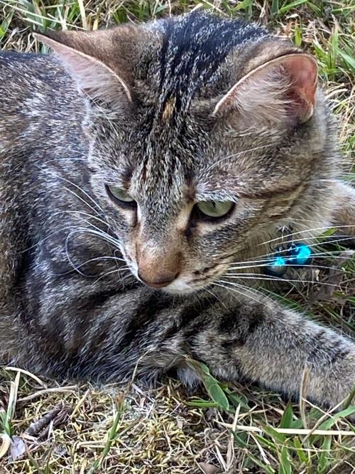 6B09697A-E6F2-4B5D-8EC9-C78DFB745464