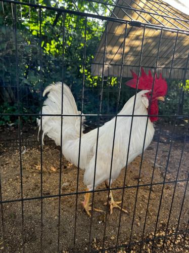 F1F7D289-525D-489C-9EBA-56A4DEE6B226