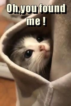ohyou-found-me