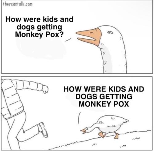 20240817_213736