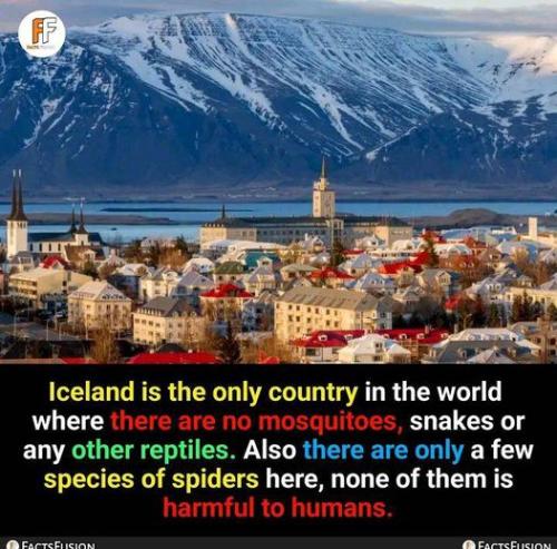 454290131_122107191620380643_9171118415775407258_n