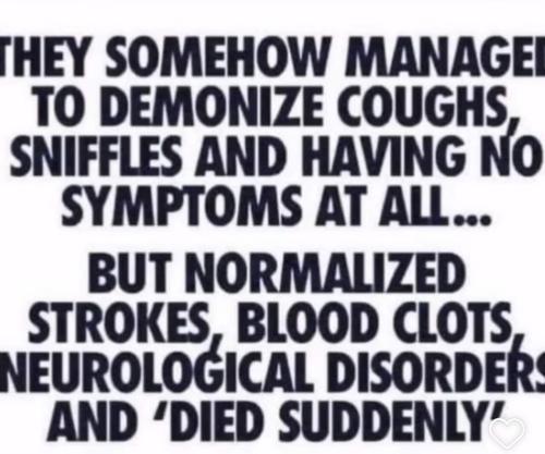 image_AC50FB02-411E-4AD8-B479-1497B45AC64D